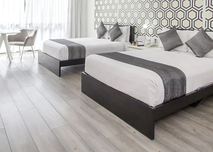 Hotel El Ejecutivo By Reforma Avenue
